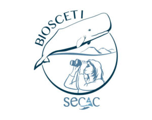 logo-project
